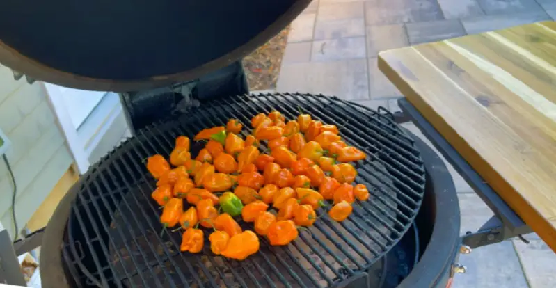 How to Smoke Peppers in a Smoker