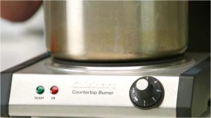 4 Best Hot Plates for Pressure Canning in 2024