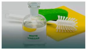 Can You Put Vinegar in a Shark Steam Mop?