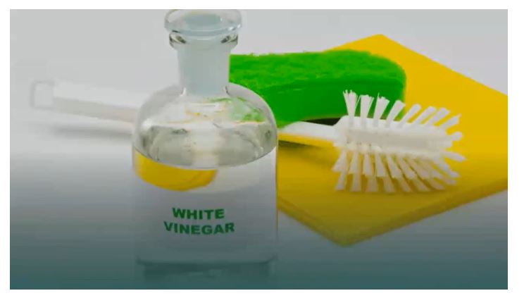 can you put vinegar in a shark steam mop