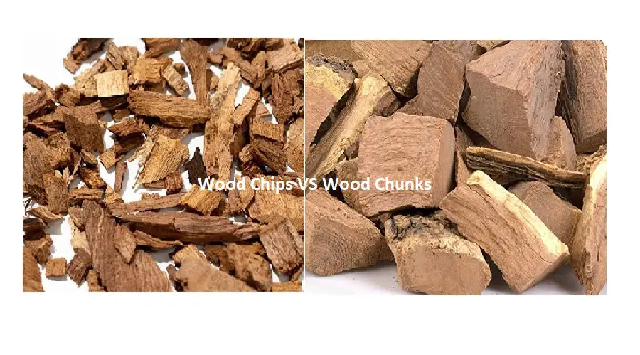 should i use wood chips or chunks in my smoker