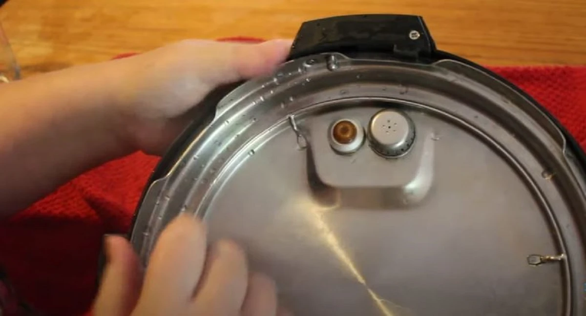 Are Instant Pot Lids Dishwasher Safe 