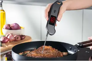 best digital meat thermometer